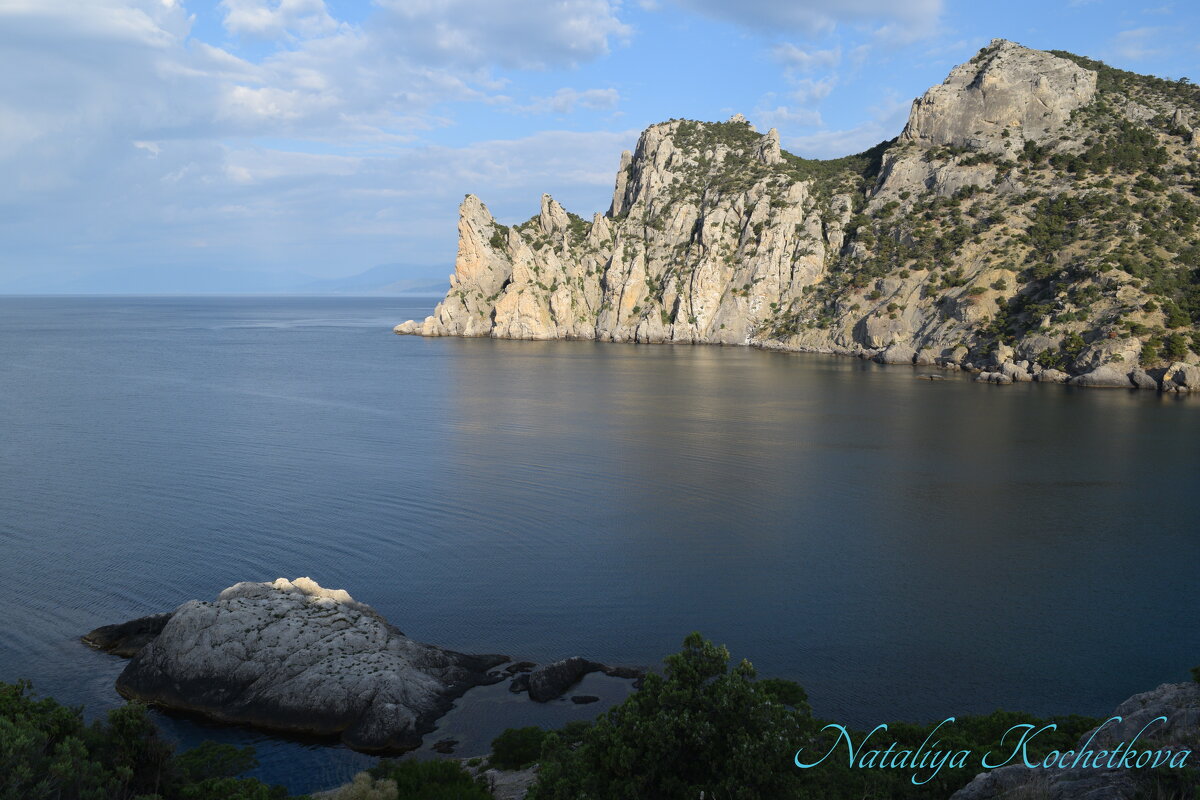 Природа Крыма - Amazing Cosmea Природа Крыма - Amazing Cosmea