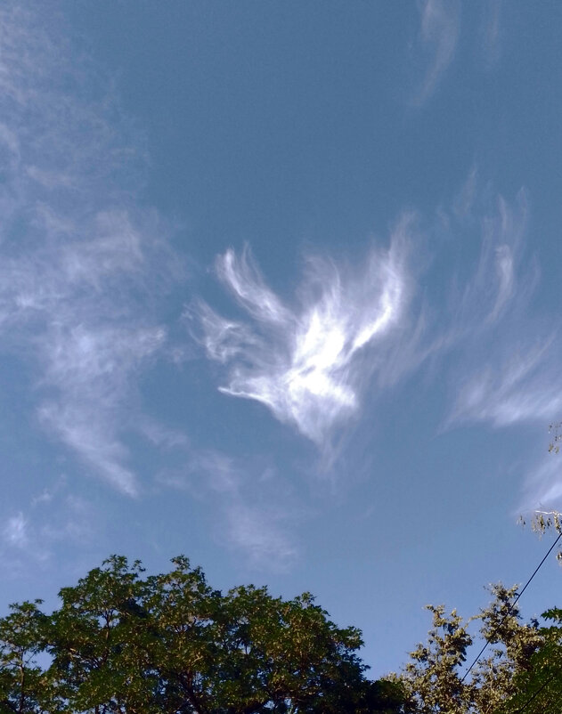 *** - Валентина Береснева