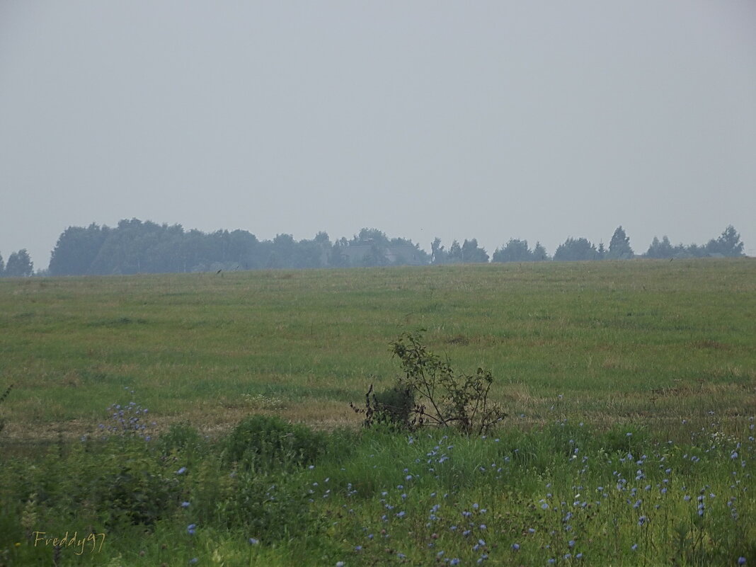 В чистом поле... - Freddy 97