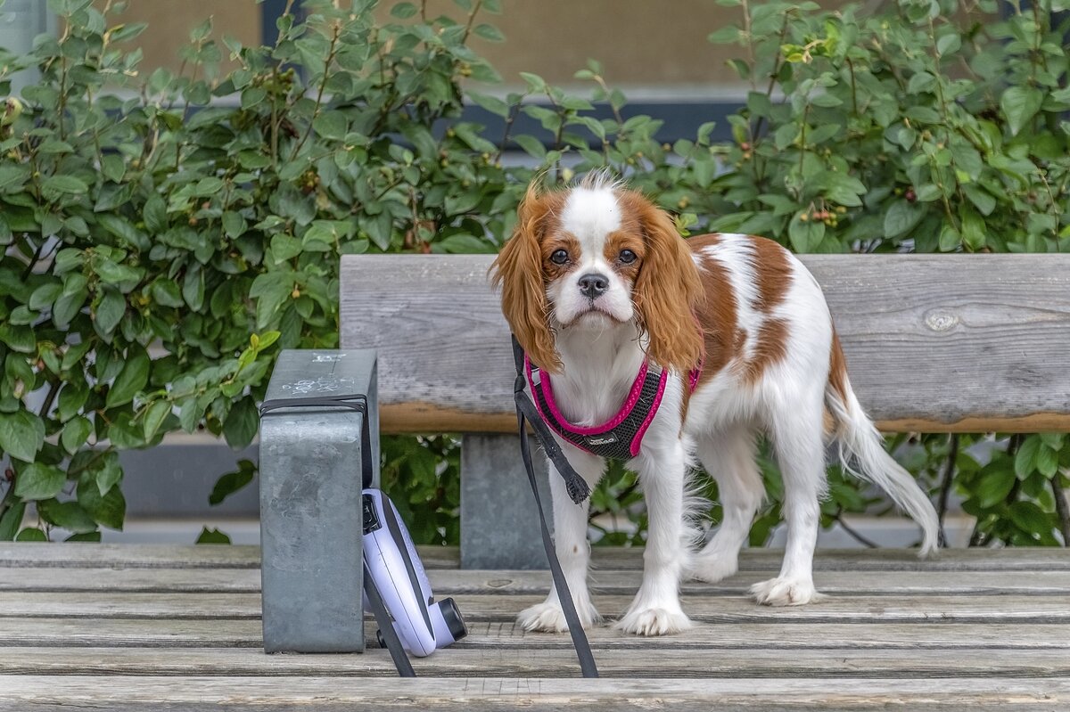 Не  пустили в магазин - Валерий Иванович