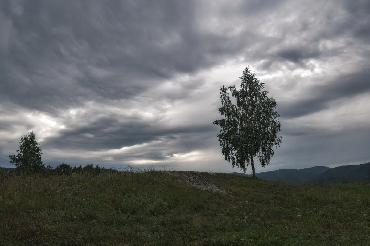 Перед дождем - Марина Фомина. Перед дождем - Марина Фомина.