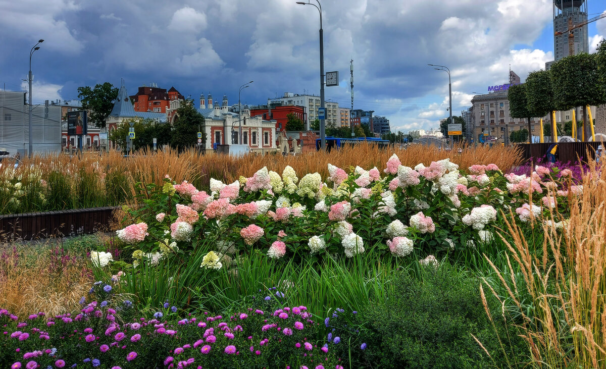 Лето в Москве. - Владимир Безбородов Лето в Москве. - Владимир Безбородов