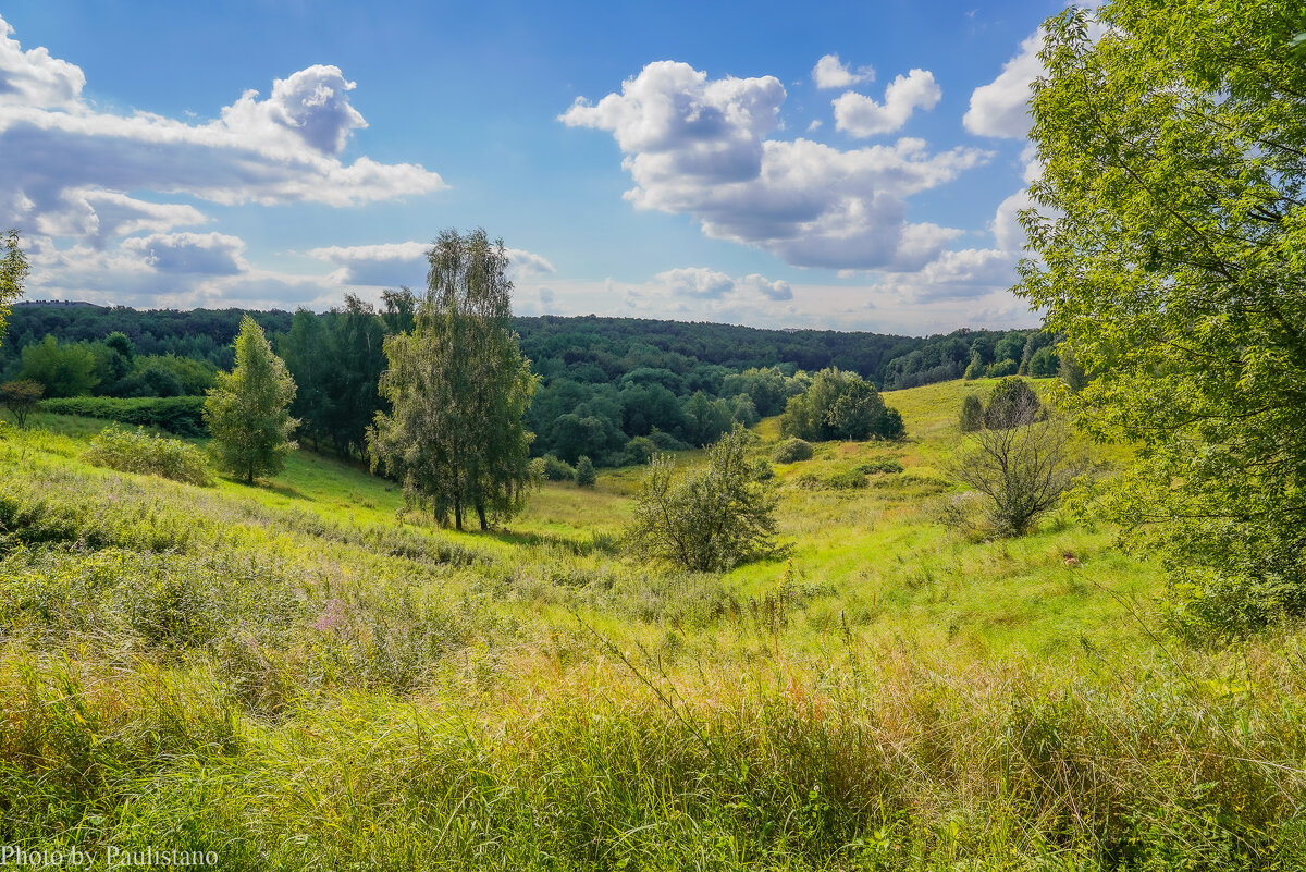 Палитра августа... - Владимир Жданов