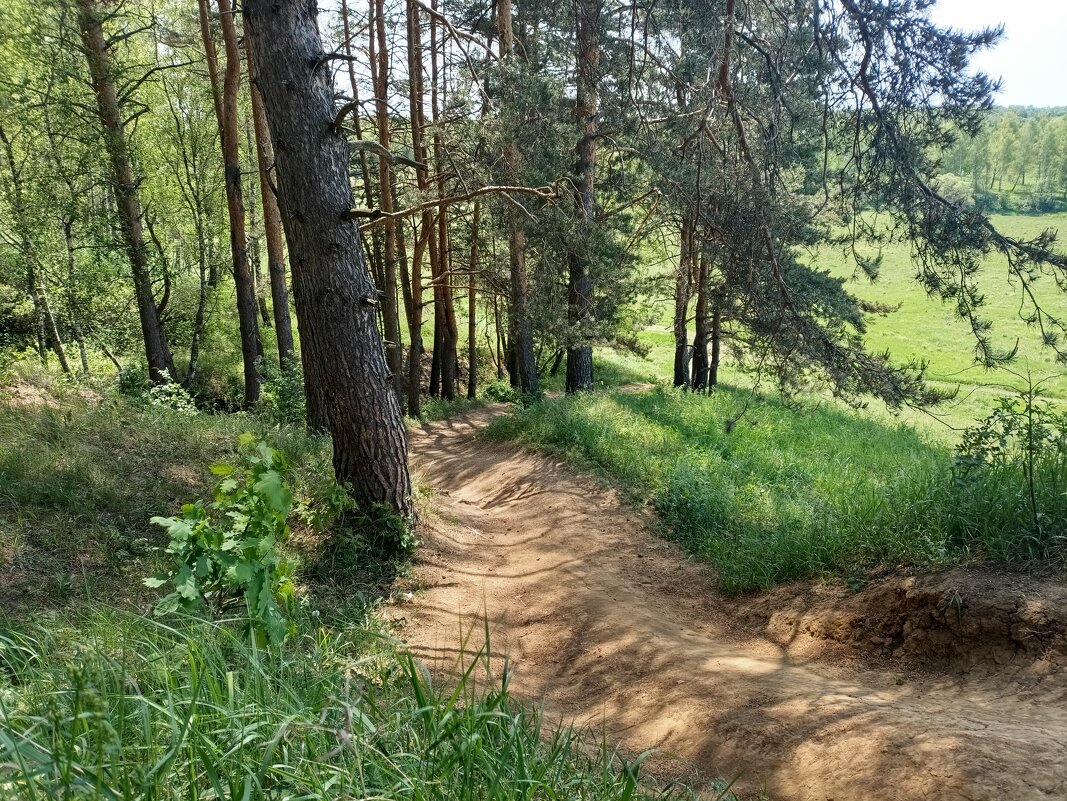 Лесные тропв - Марина Гранкова