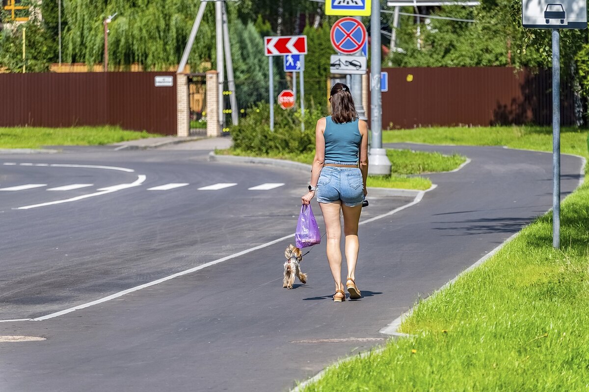 Дама собачкой - Валерий Иванович
