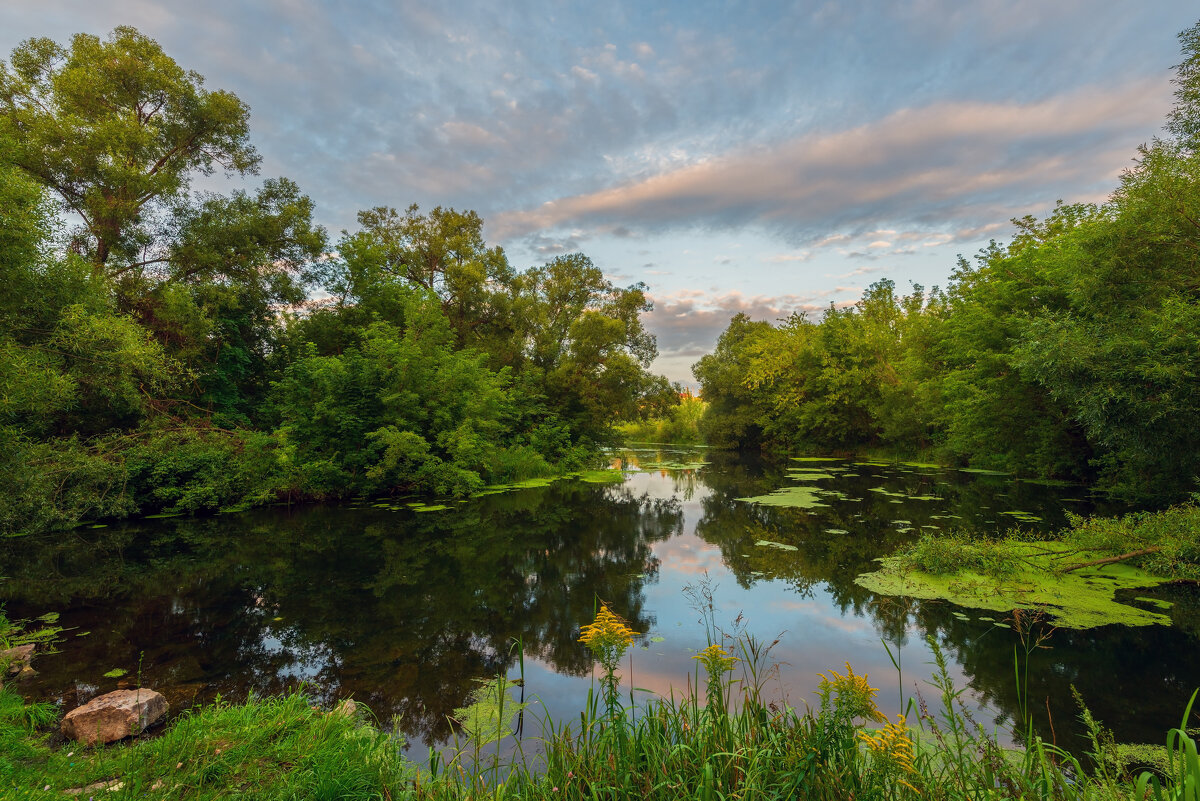***** - Виталий Емельянов
