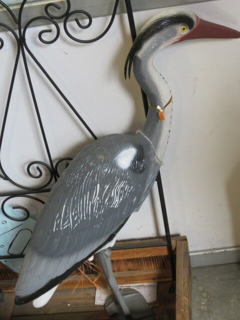 Цапля серая - Дмитрий Никитин Цапля серая - Дмитрий Никитин