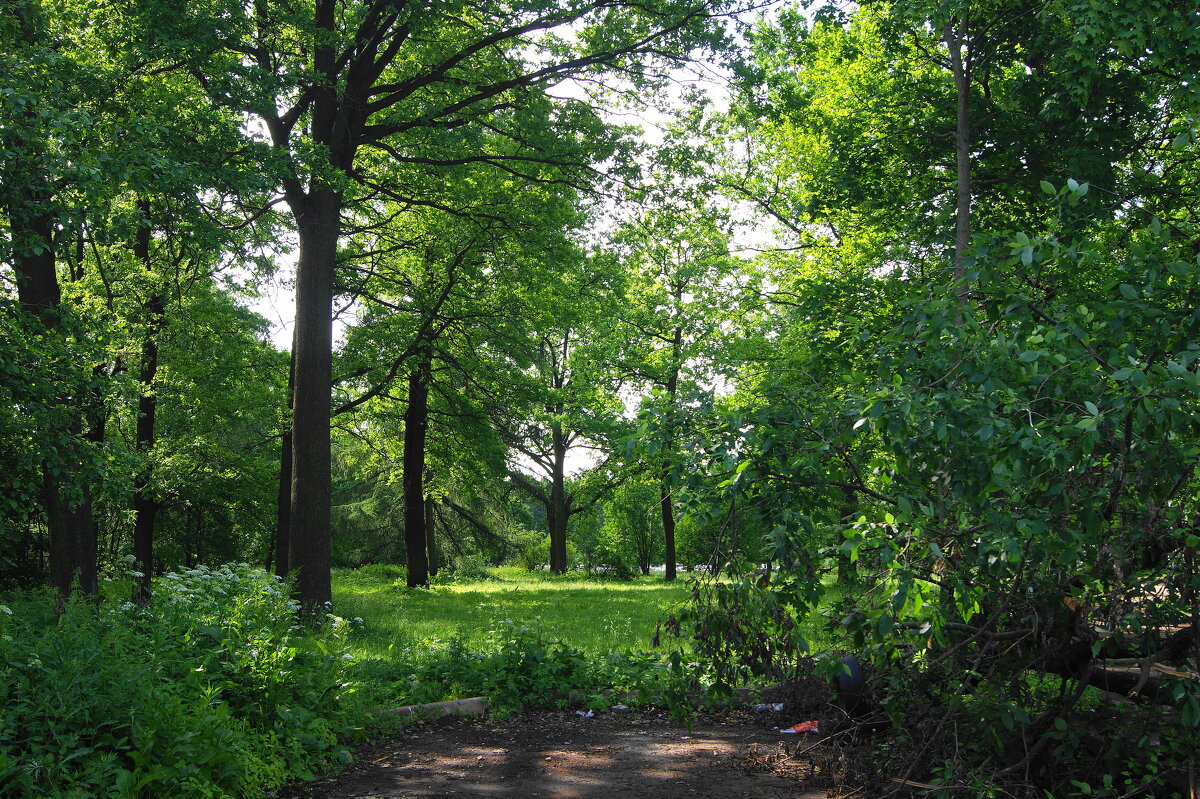 /// - Виктор Никитенко /// - Виктор Никитенко
