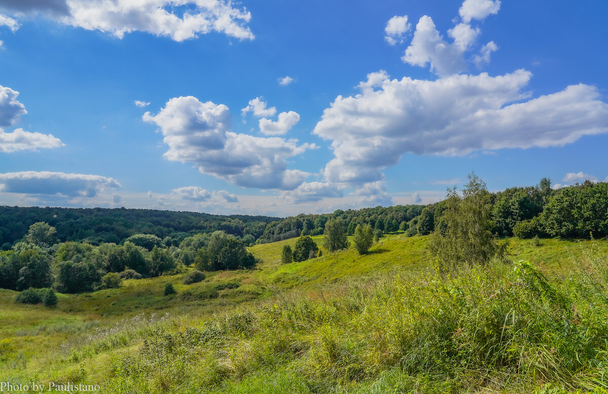 Палитра августа... - Владимир Жданов