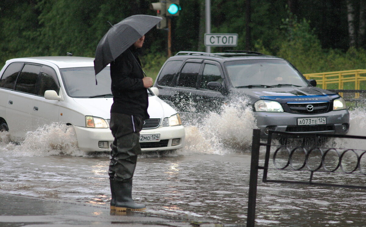 Летний дождь... - Владилен Панченко Летний дождь... - Владилен Панченко