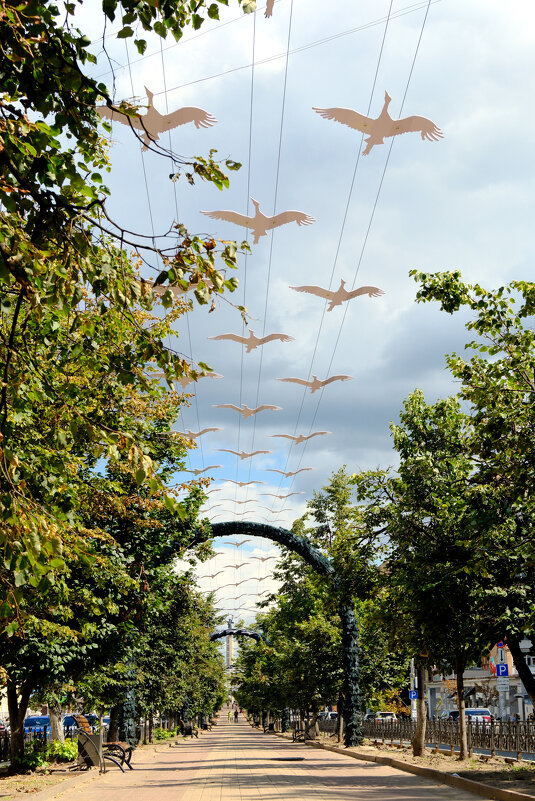 Аллея памяти вдоль ул. Кирова в Калуге - Dar(k) Life