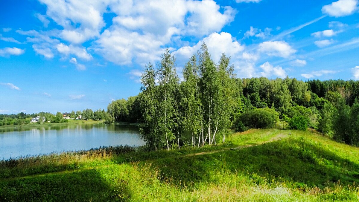 Лето в августе. - Милешкин Владимир Алексеевич 