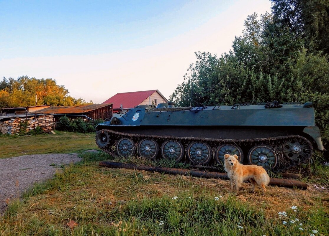 Мирный танк под чистым небом! - Елена Хайдукова ( Elena Fly ) Мирный танк под чистым небом! - Елена Хайдукова ( Elena Fly )