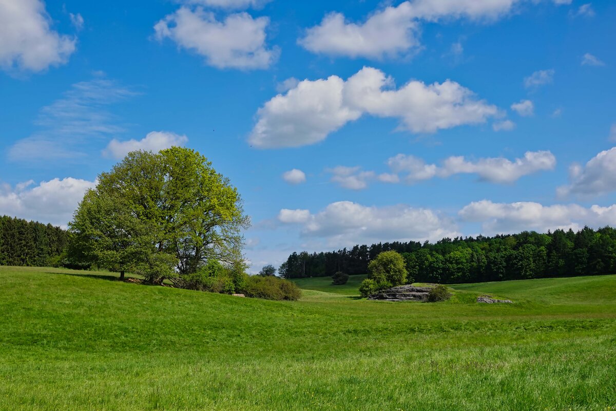 Пейзаж - Waldemar F.