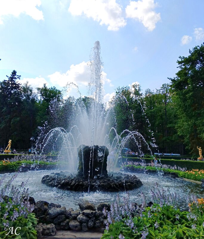 Фонтан "Сноп". Нижний парк. Петергоф. - Любовь Сахарова