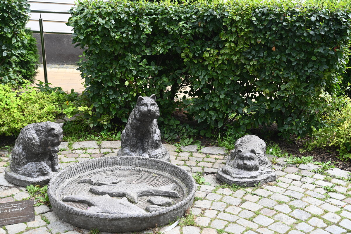 Солнечный город - redfox 