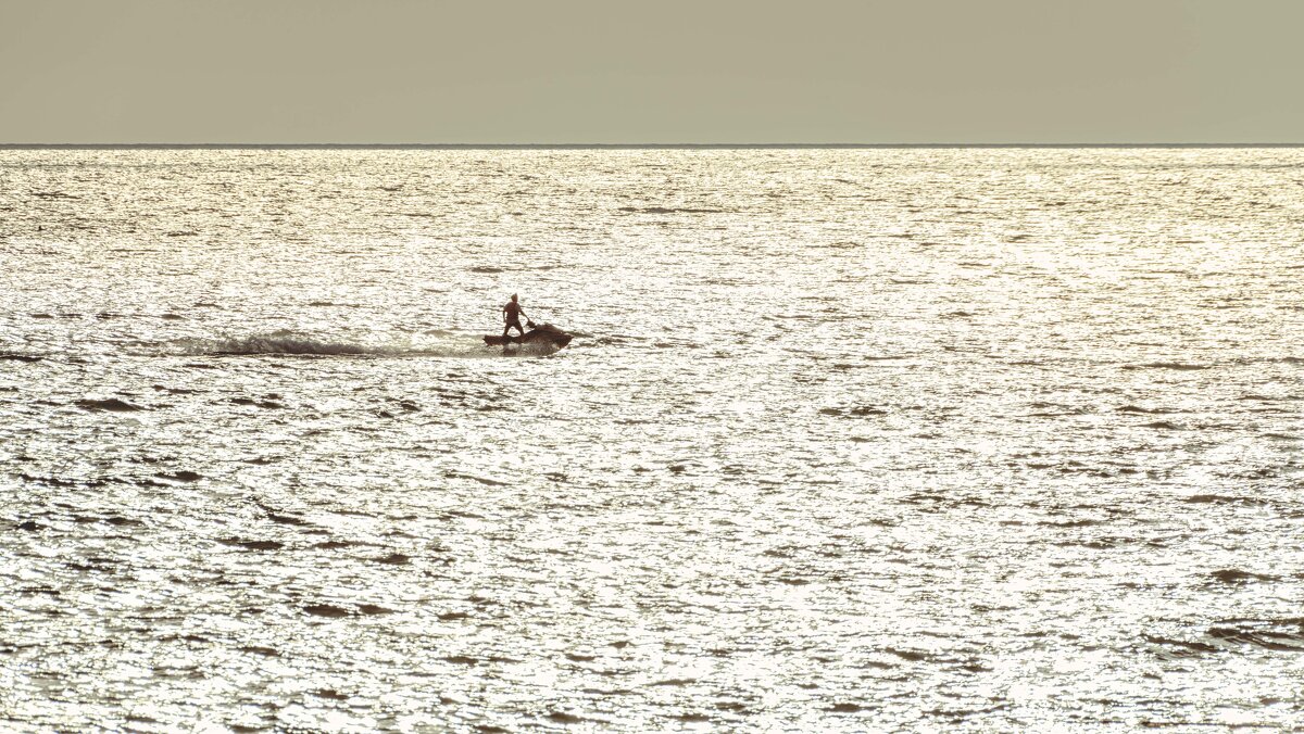 Силуэт - Константин Бобинский