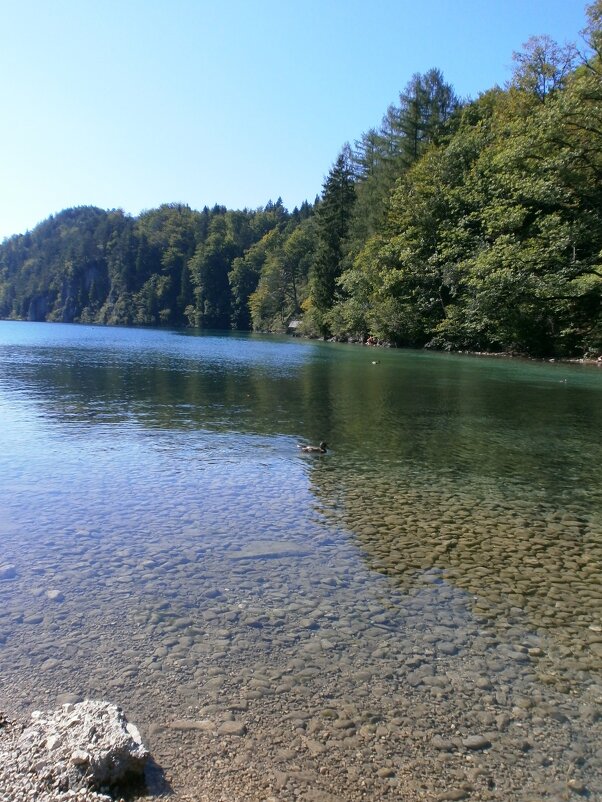 Озеро - Алёна Савина