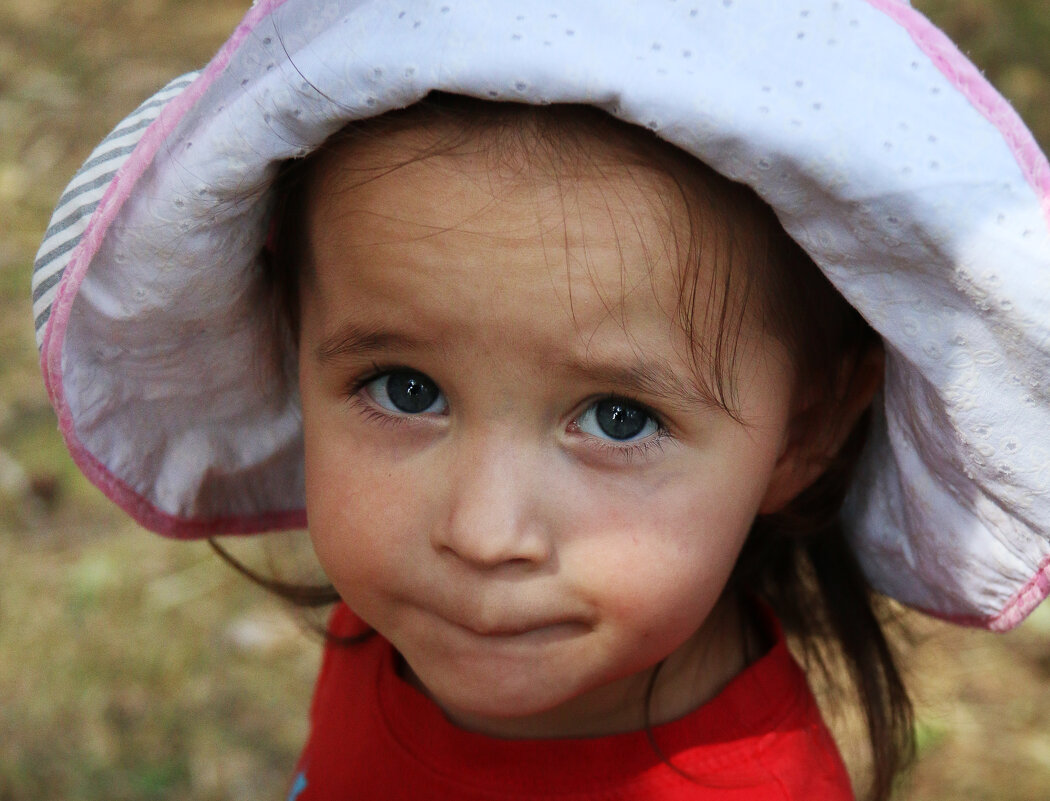 Пельмешек... - СЮ 