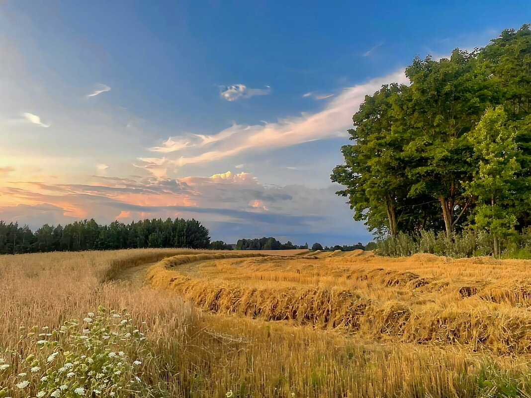 Summer 2025 3 - Arturs Ancans