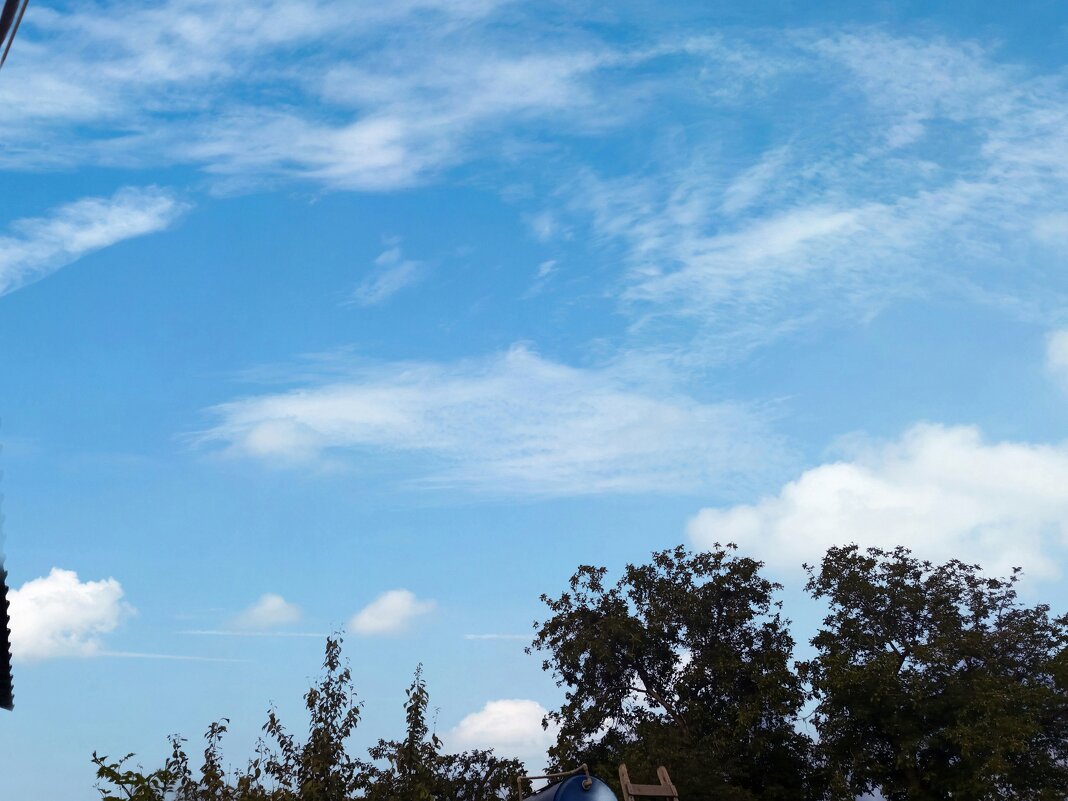 Август, небеса - Татьяна Пальчикова Август, небеса - Татьяна Пальчикова