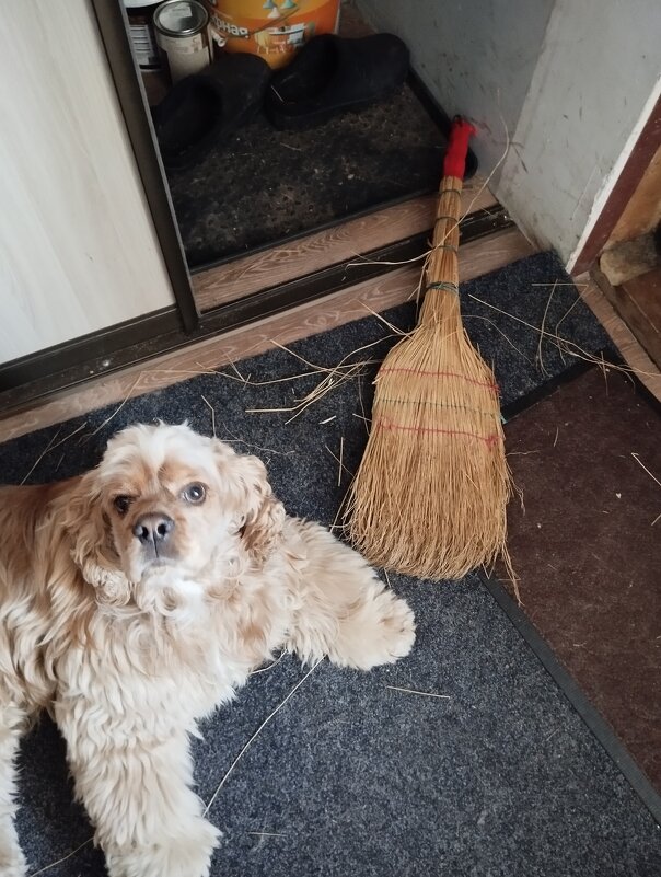 Поиграл с веником - На-та-ша 