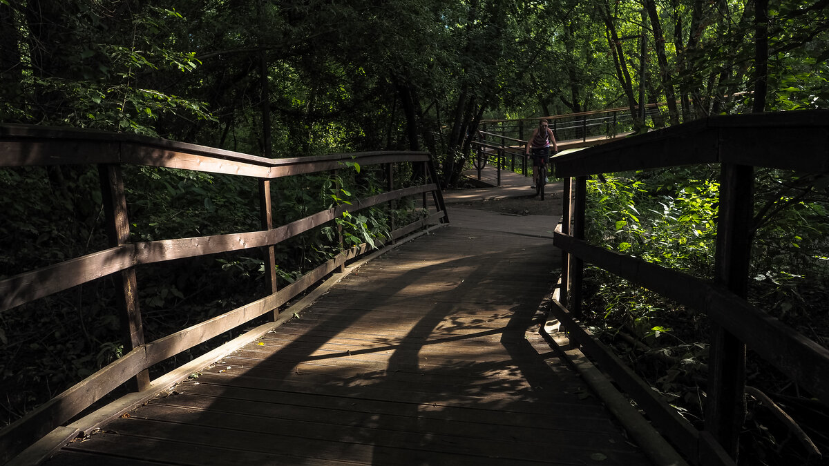 ***** - юрий поляков