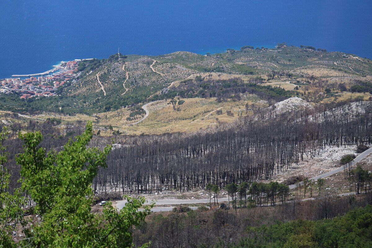 вид на Podgoru - Светлана Баталий
