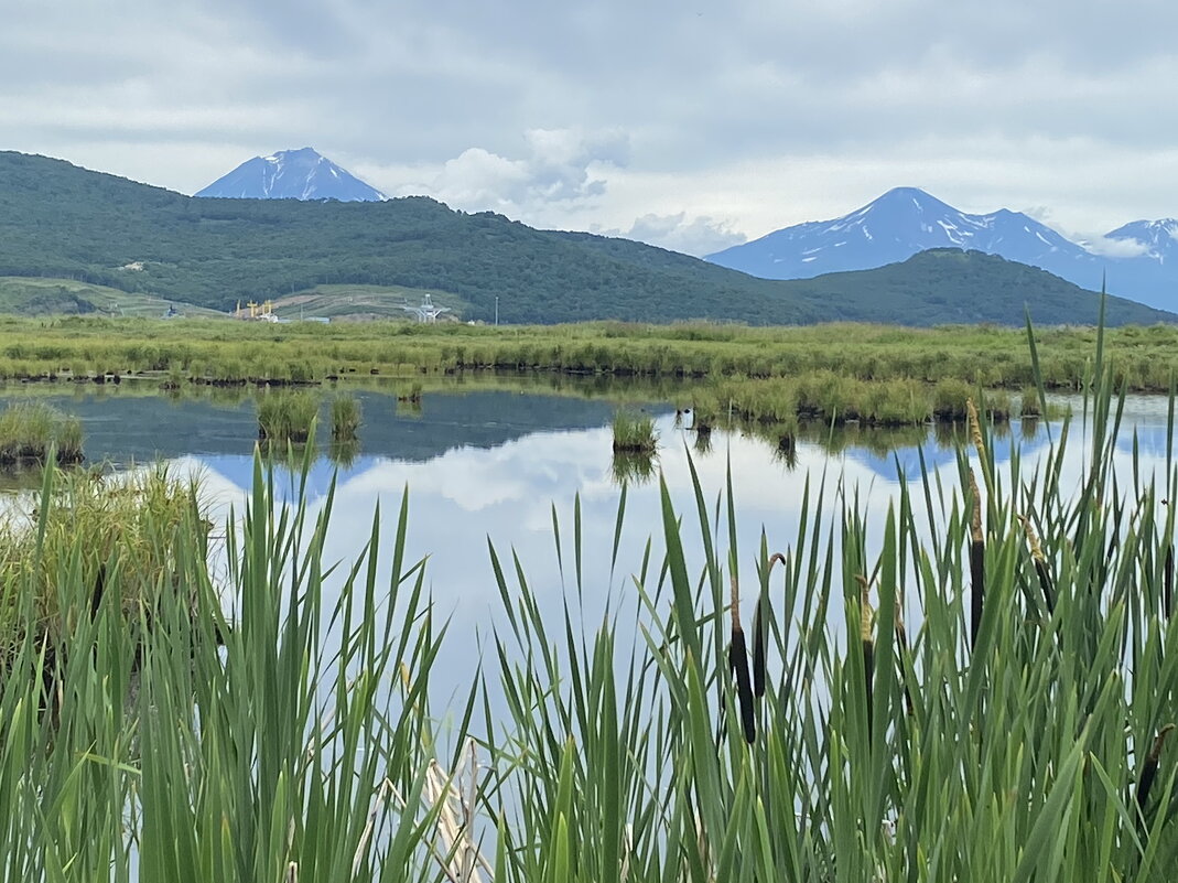 Домашние вулканы - Александр Белов