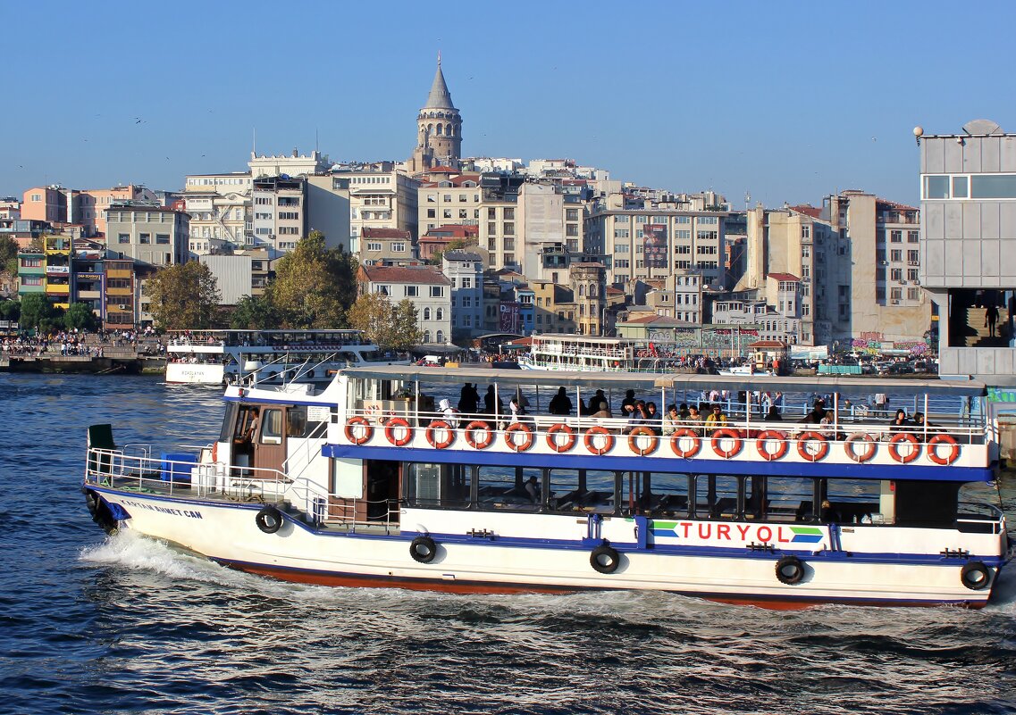 Густонаселённый мегаполис - Владимир Соколов (svladmir)