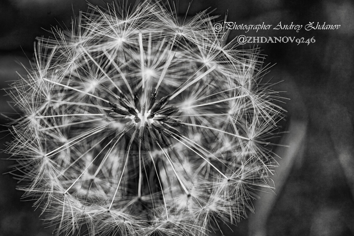 Жду ветра! - Андрей Жданов