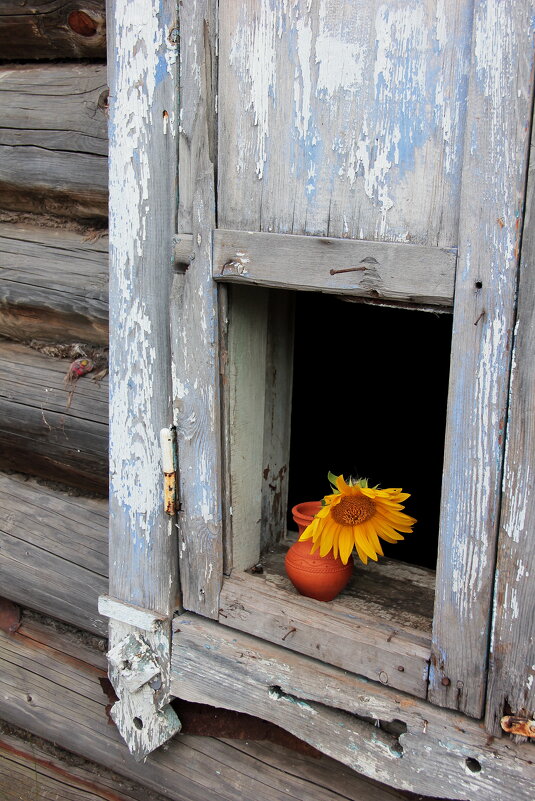 Окно - victor Lion