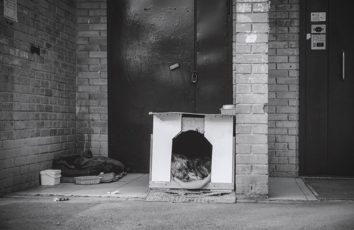 Ещё одна отдельная квартира в многоквартирном доме(чб) - Сергей Царёв