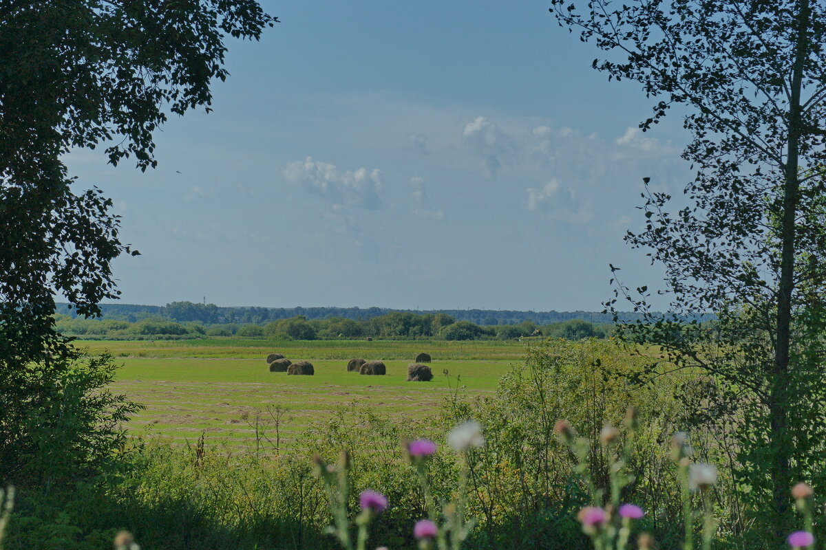 Плоды покоса... - Андрей Катков