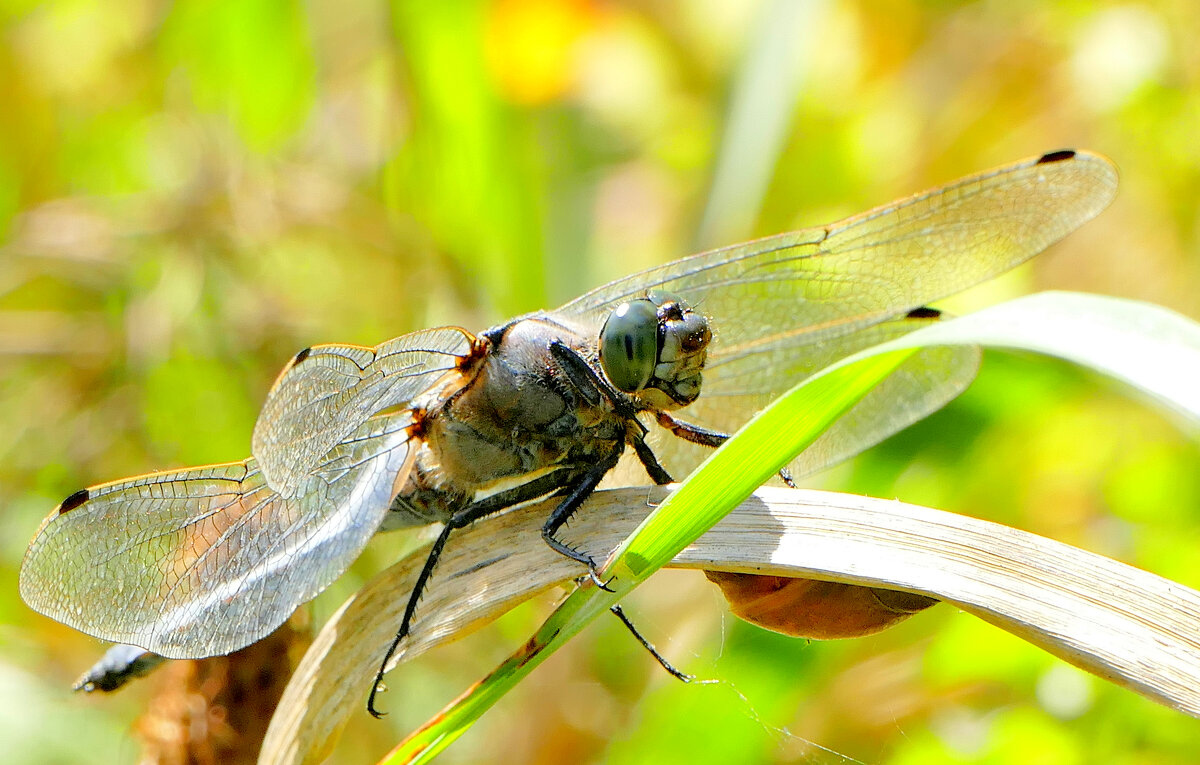 из снятого сегодня 2 - Александр Прокудин