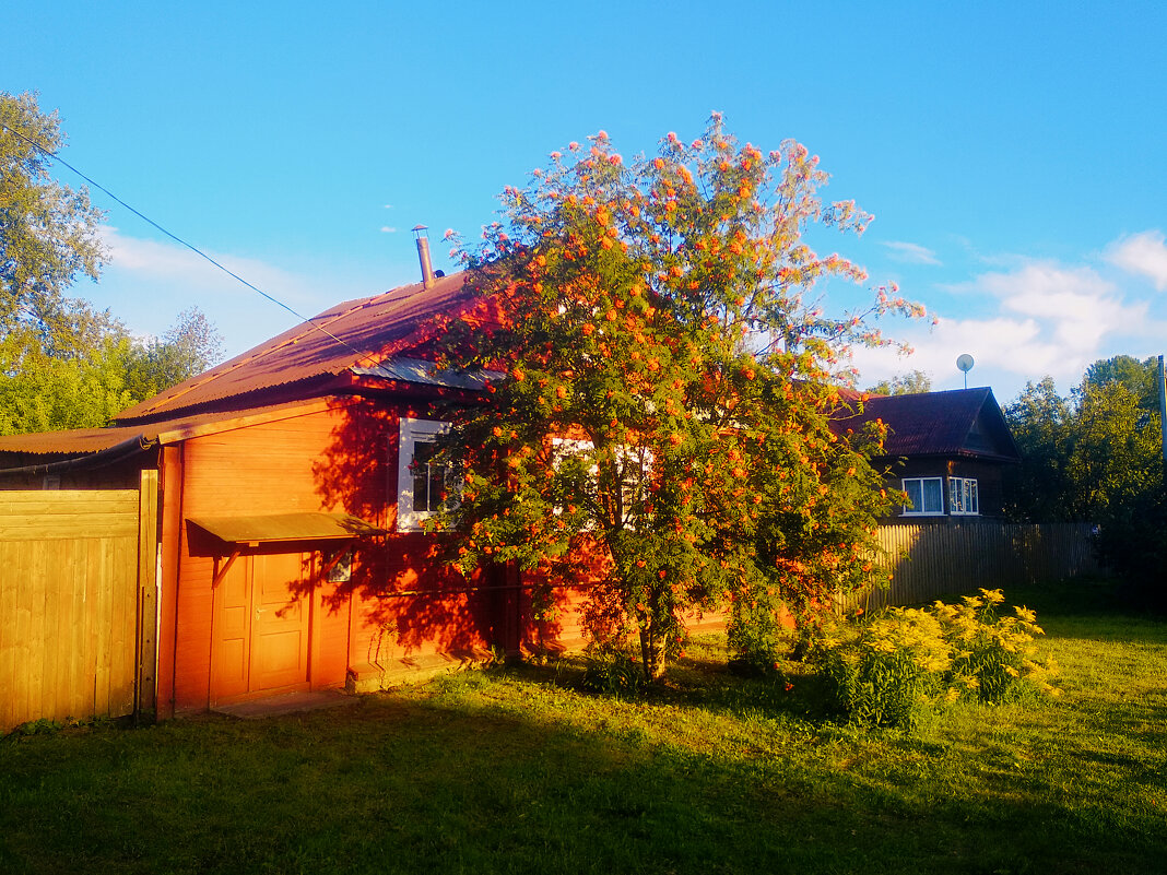 Летний вечер - Сергей Кочнев