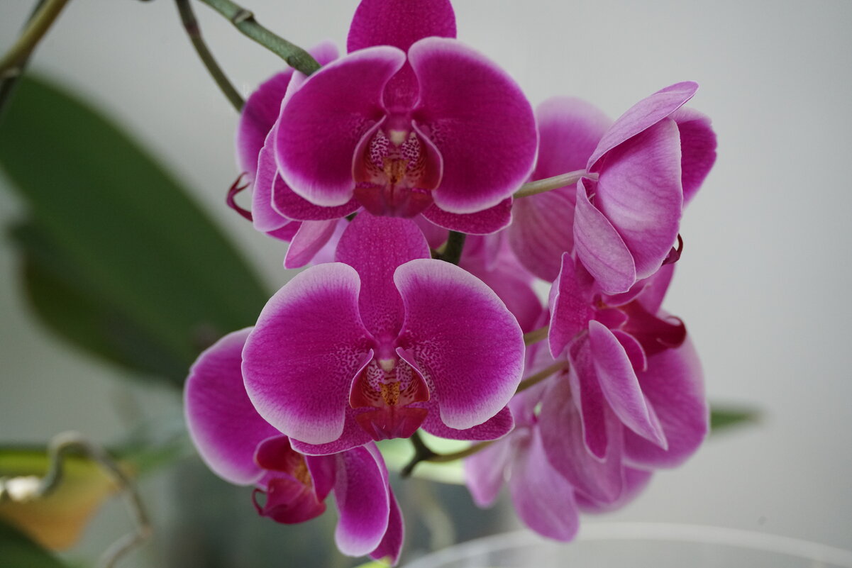 **** - Иван Литвинов