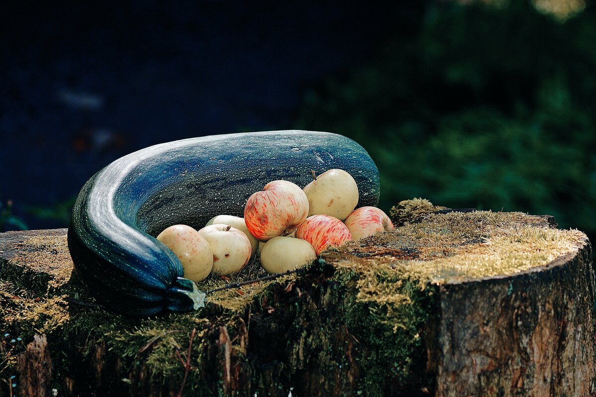 Натюрморт - Леонид leo