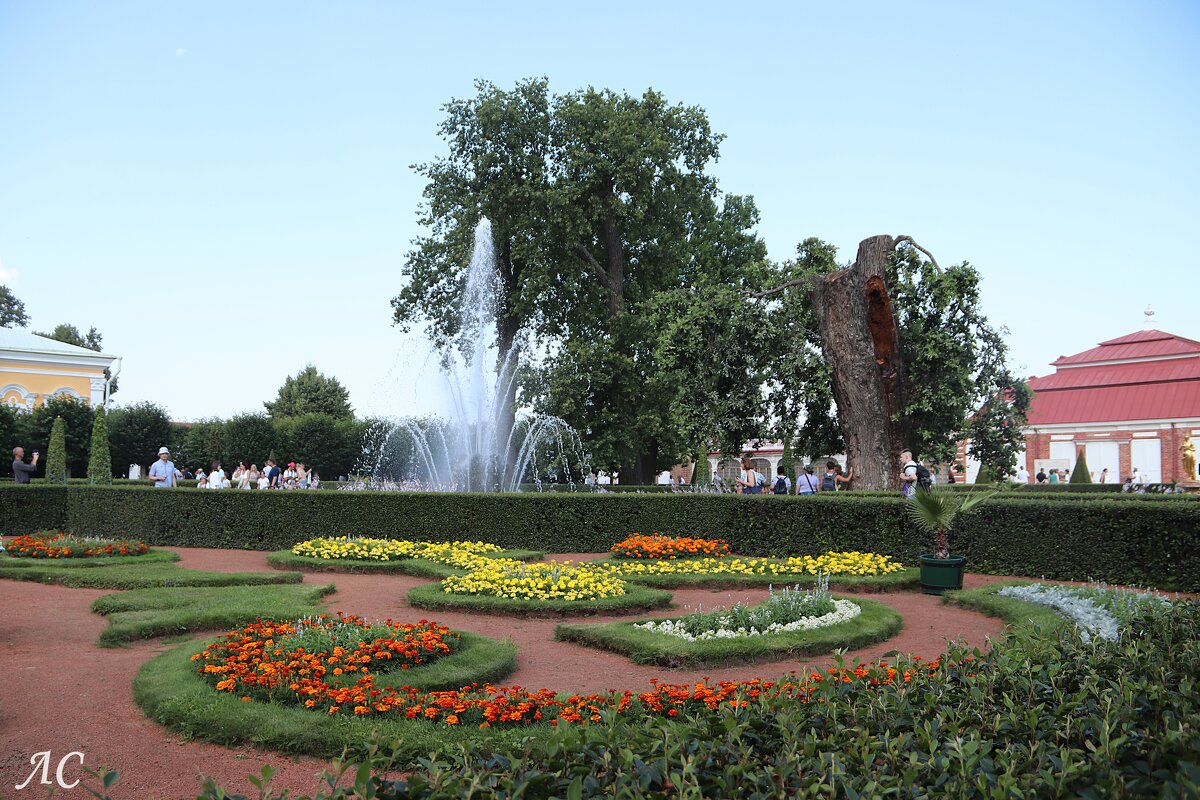 Сад дворца "Монплезир" - Любовь Сахарова