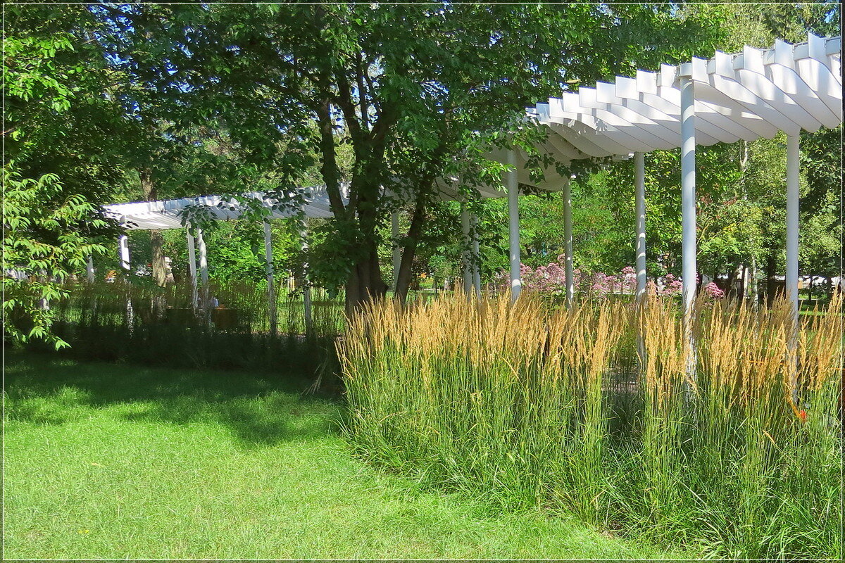 Август в парке - Сеня Белгородский