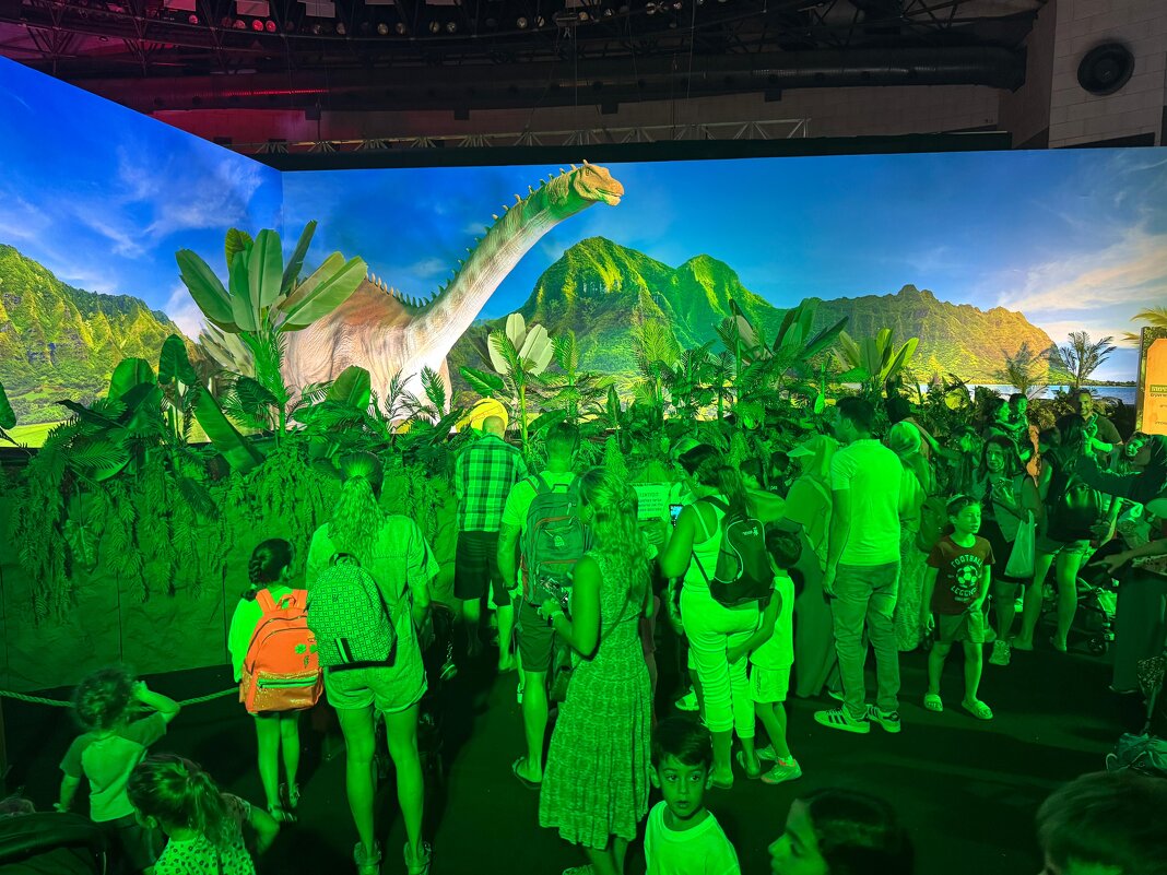 " - Светлана Хращевская