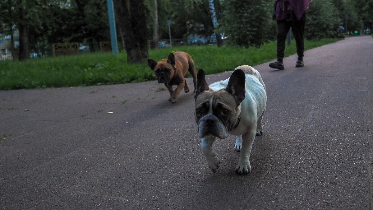 ***** - юрий поляков