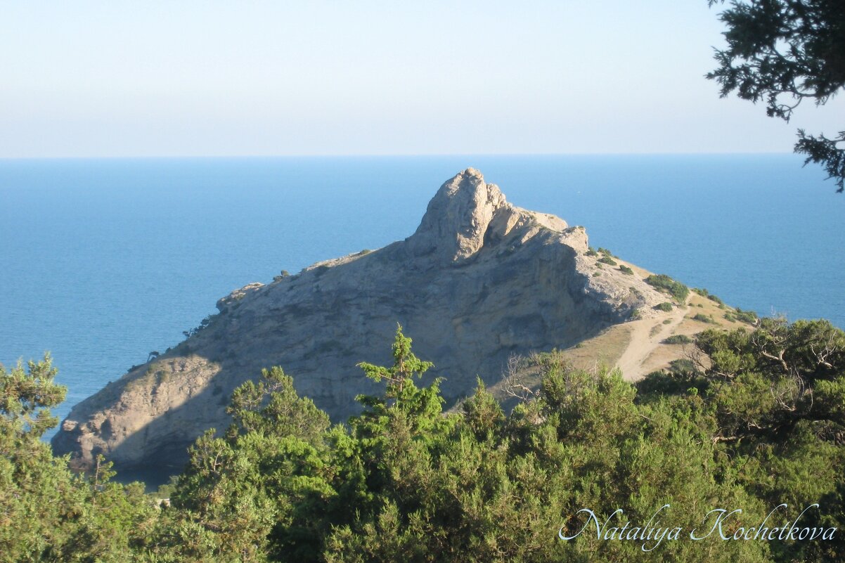 Природа Крыма - Amazing Cosmea