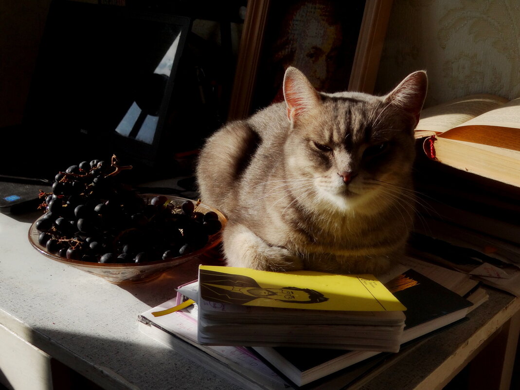 Мальчик с виноградом - Maria Rainer Мальчик с виноградом - Maria Rainer