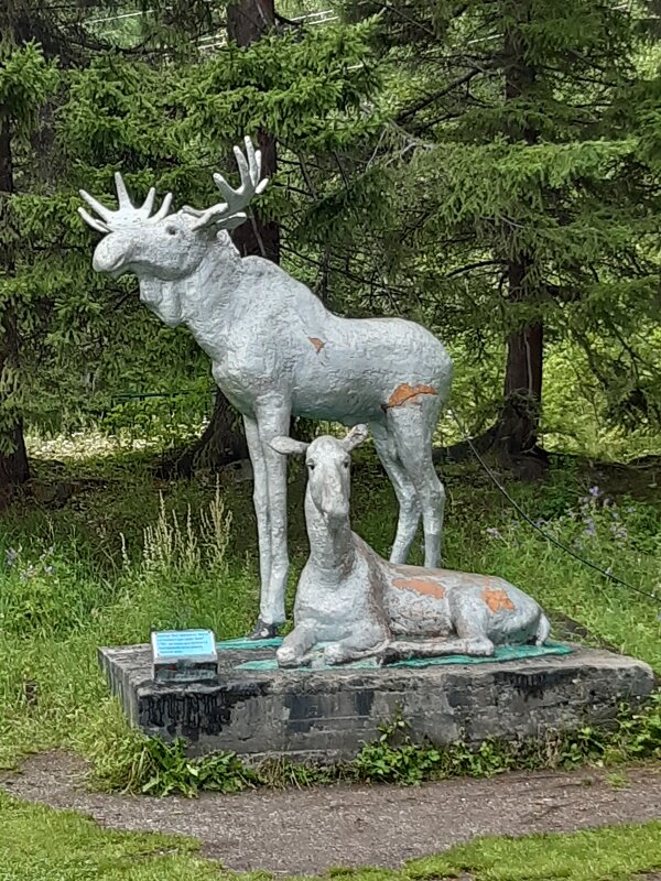 Конец июля - тоже середина лета - Галина Минчук Конец июля - тоже середина лета - Галина Минчук