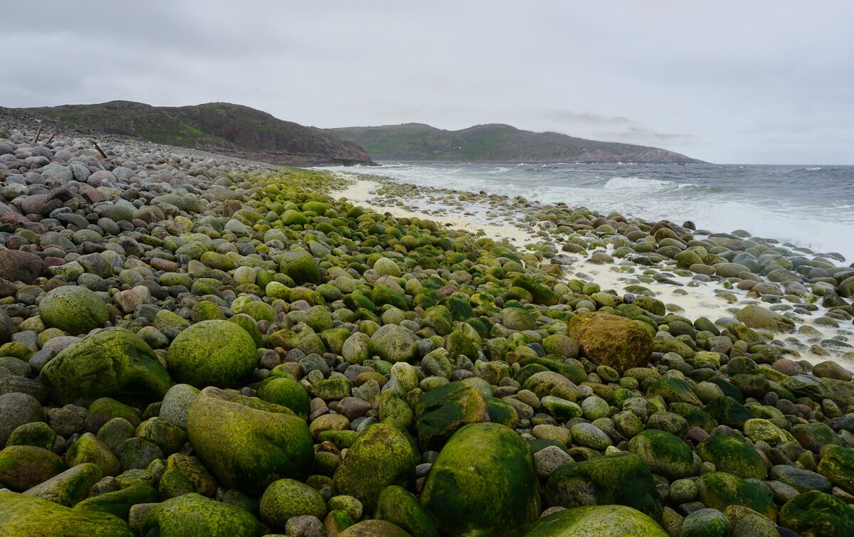 На пляже "Яйца драконов" - Ольга Чистякова На пляже "Яйца драконов" - Ольга Чистякова