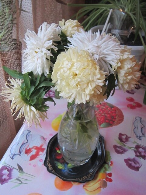 Астры - Дмитрий Никитин