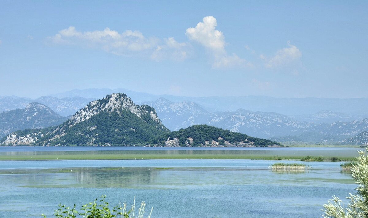 *** - Марина Виноградова