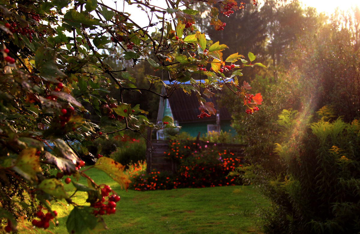 .. - РИТА ЛЕВКОВА