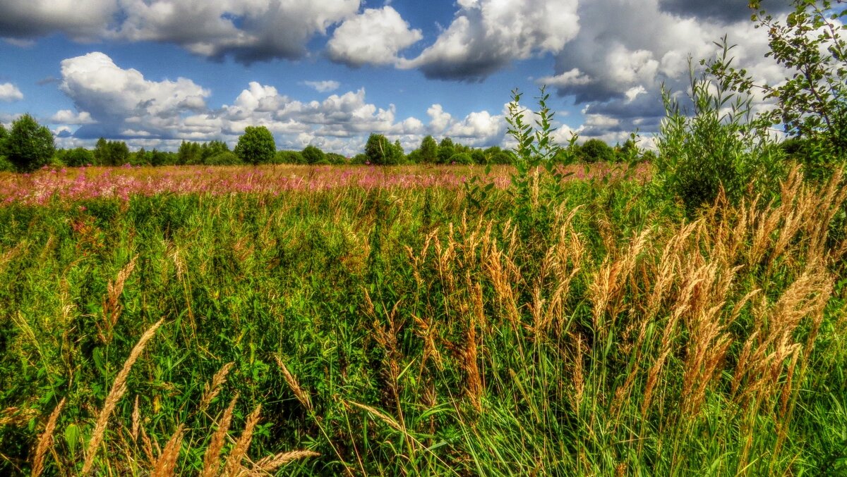 Уж скоро осень - Наталья Лакомова